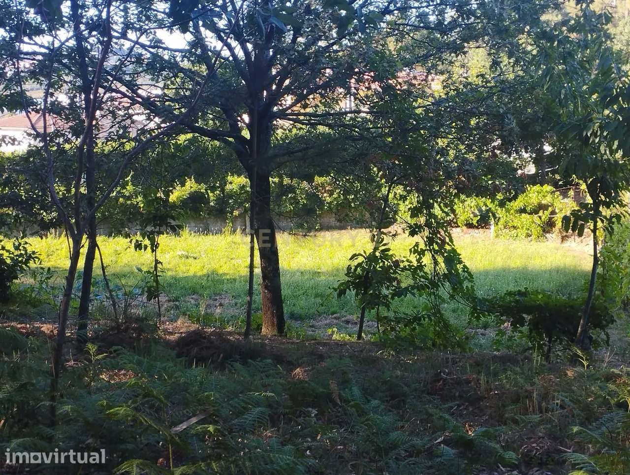 Terreno com anexo para construção de um condomínio privado de 5 moradi - Grande imagem: 2/54