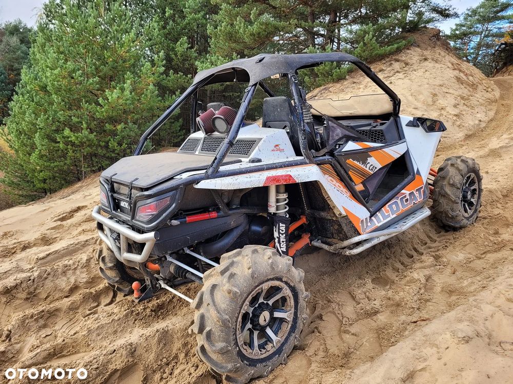 Arctic Cat Inny - 10