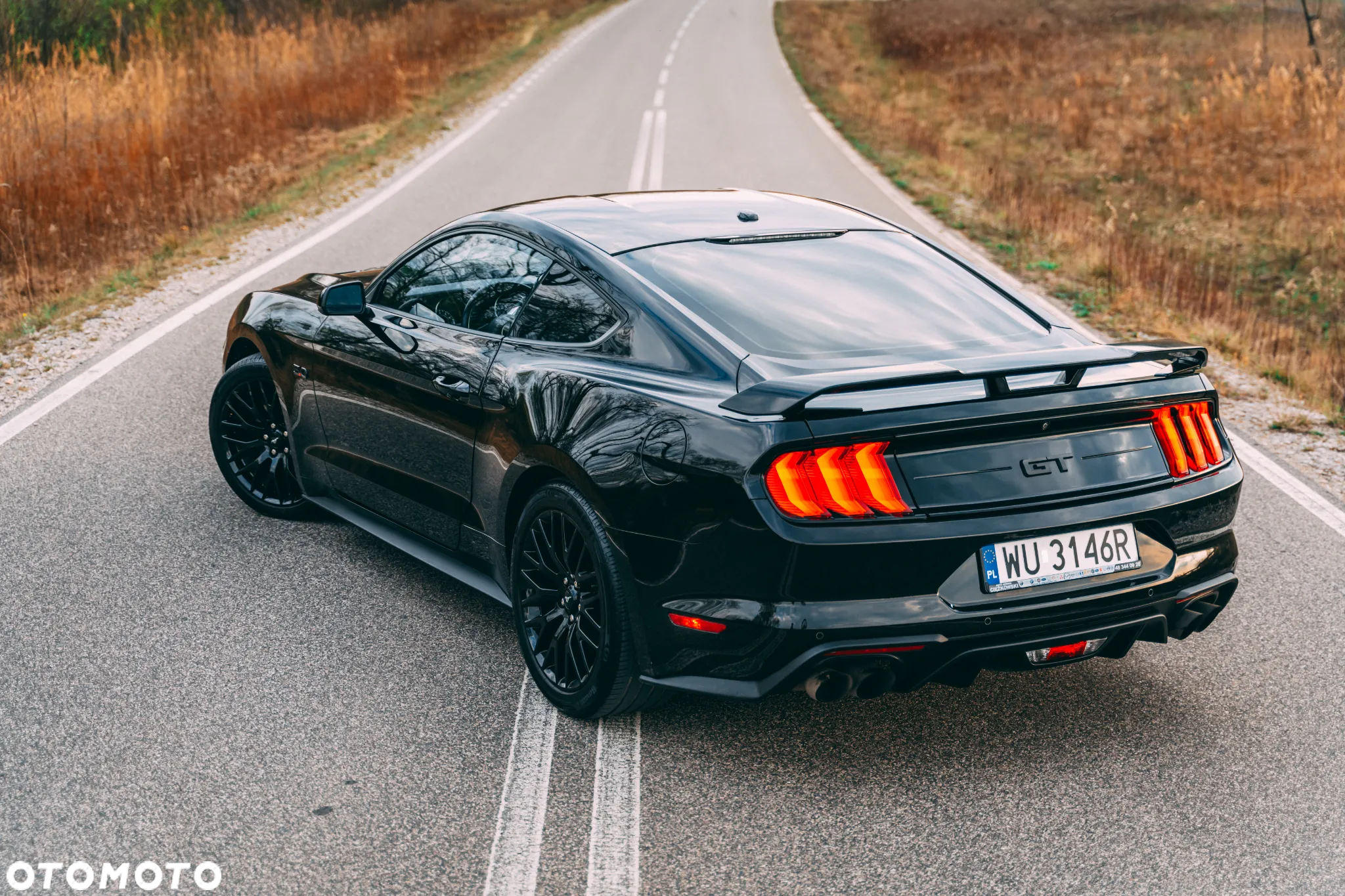 Ford Mustang 5.0 V8 GT - 7