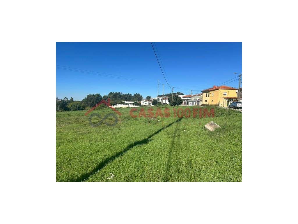 Terreno com 5404m2 para construção em Oliveira de Azemeis. - Grande imagem: 3/9