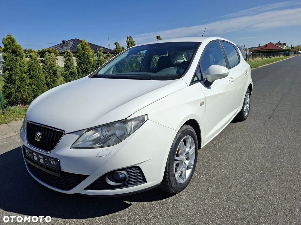 Seat Ibiza - 29