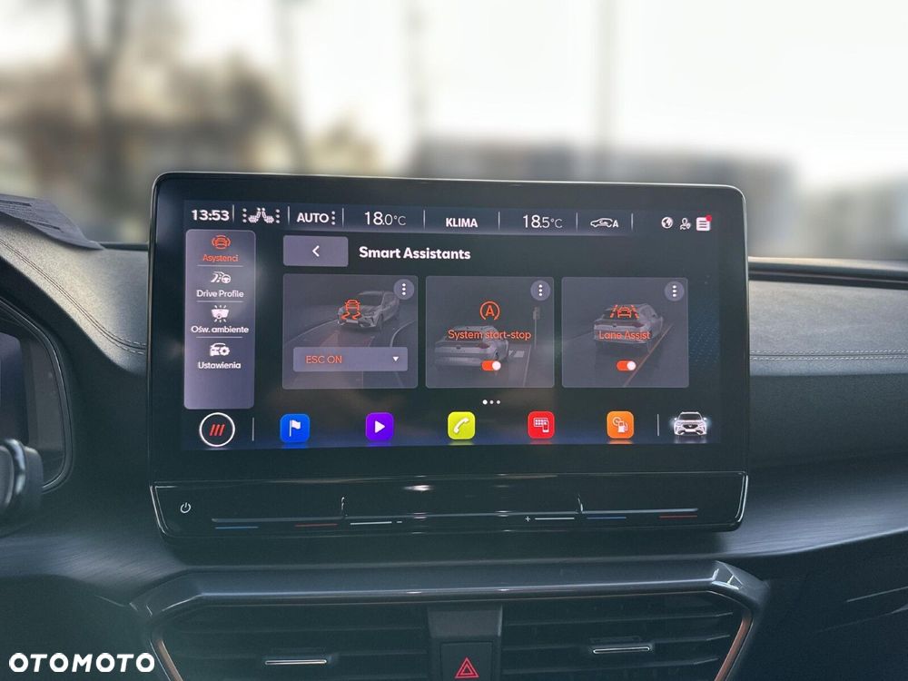 Cupra Formentor 2.5 TSI 4Drive VZ5 DSG - 20