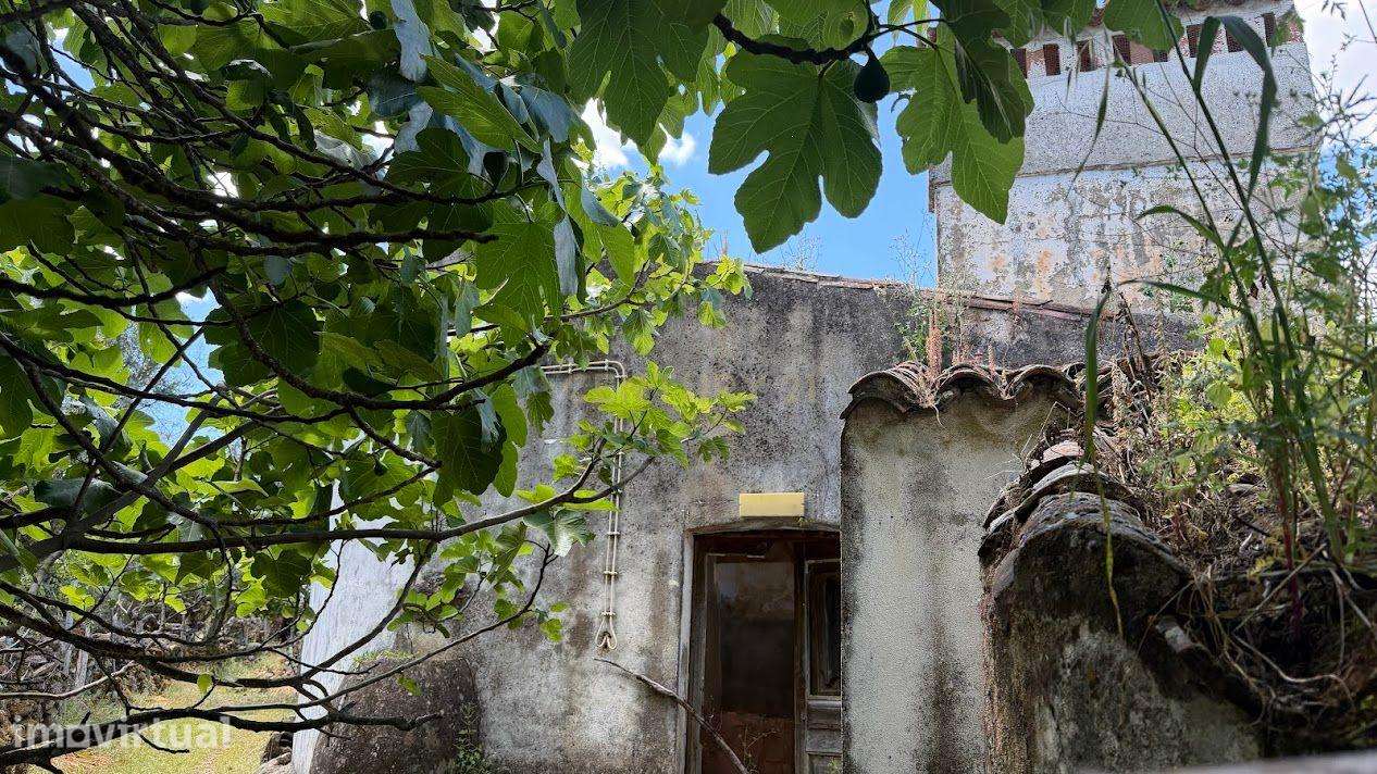 Ruína em Flor da Rosa - Crato - Portalegre - Grande imagem: 3/11