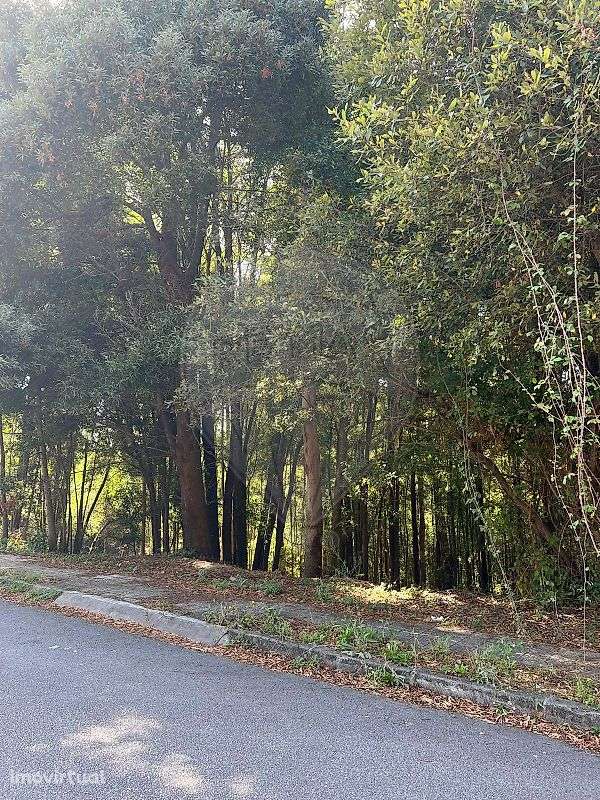 Terreno  para venda - Grande imagem: 4/7