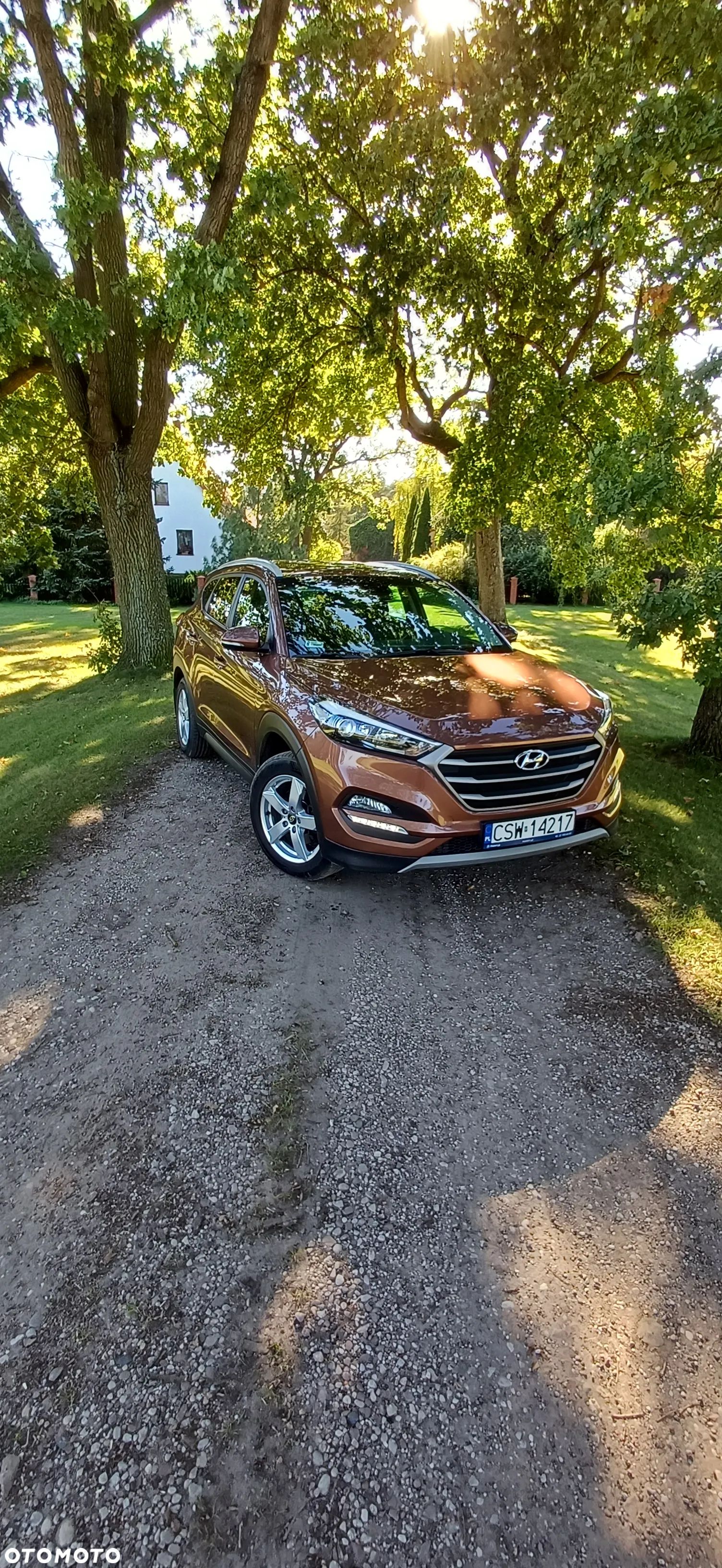 Hyundai Tucson 1.6 GDI BlueDrive Comfort 2WD - 1