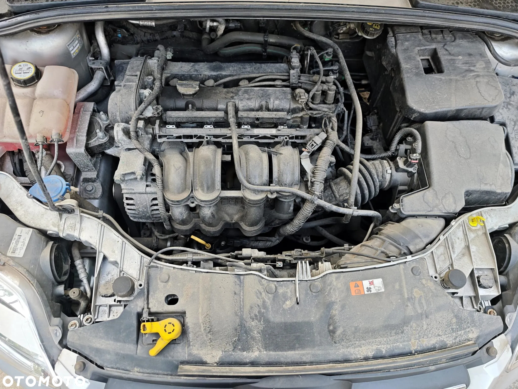 Ford Focus 1.6 Titanium - 24
