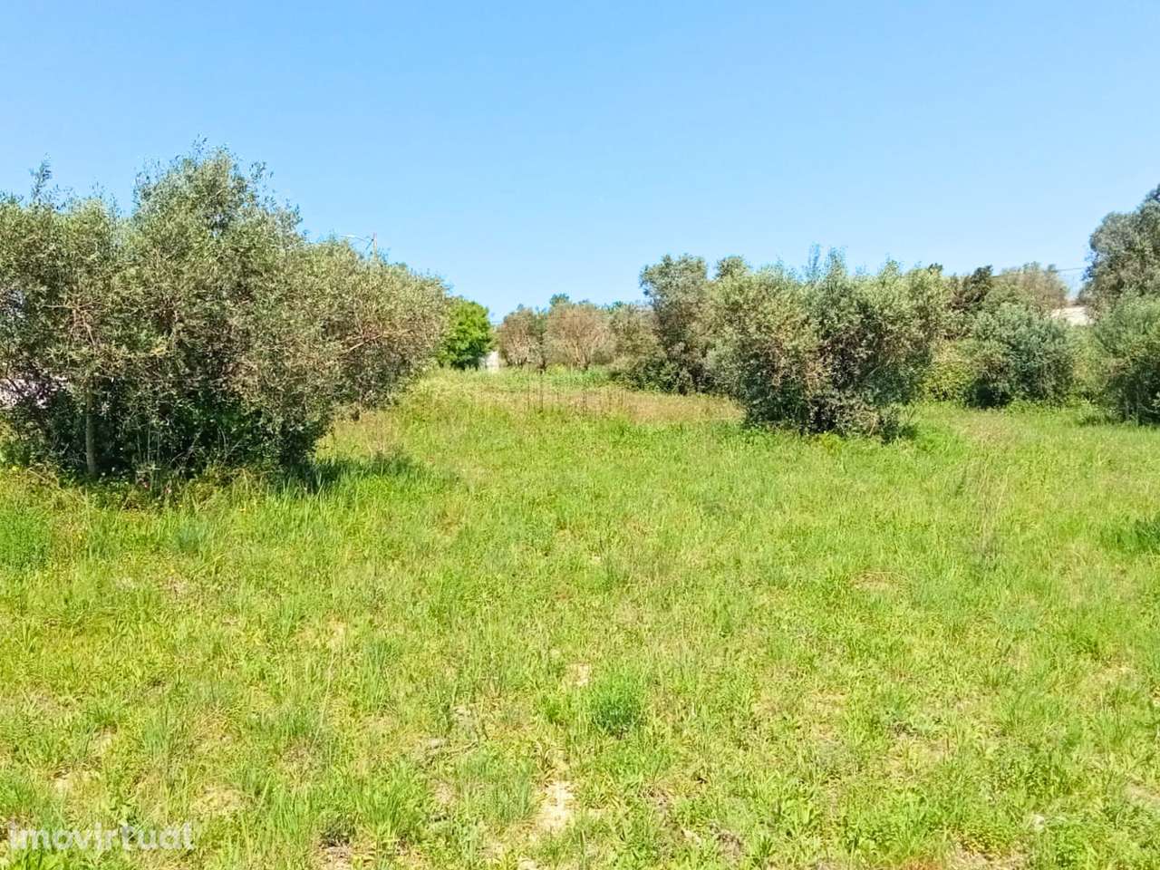 Moradia para reconstruir - Grande imagem: 4/18