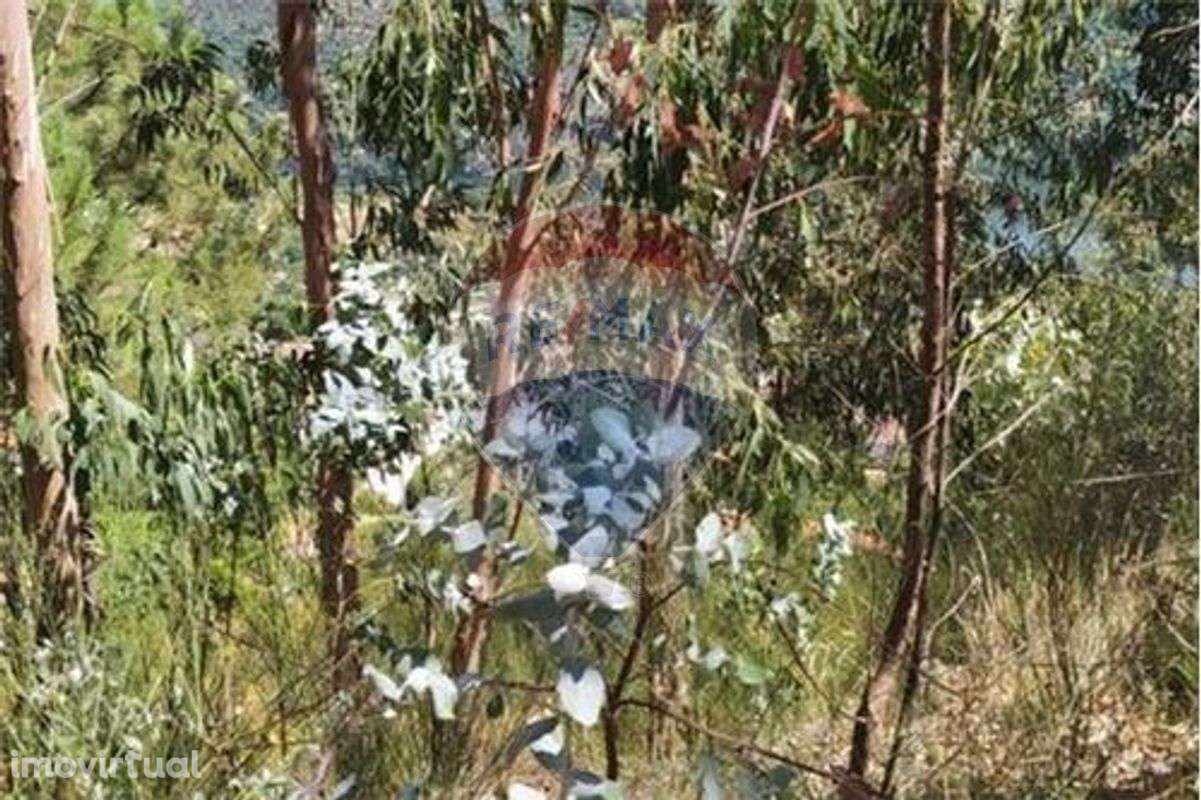 Terreno T0 para venda - Grande imagem: 5/6