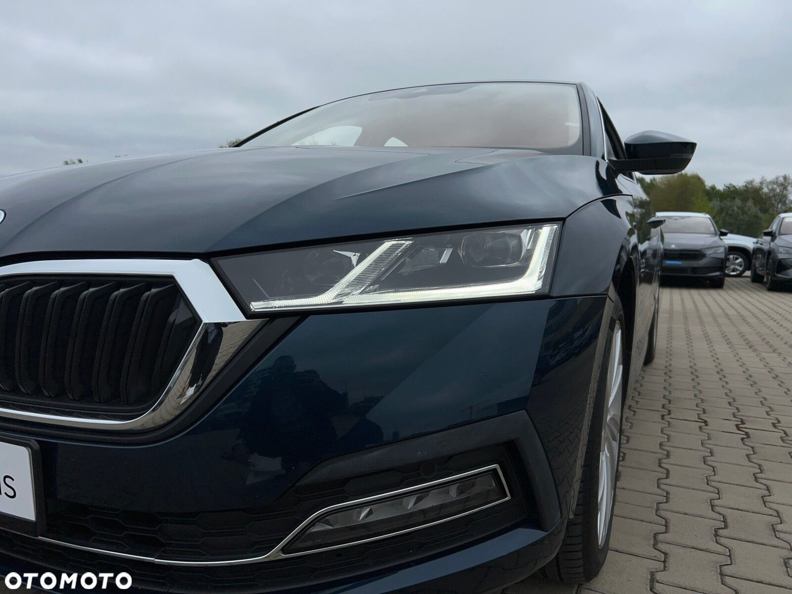 Skoda Octavia - 37