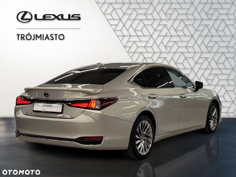 Lexus ES 300h Omotenashi - 6