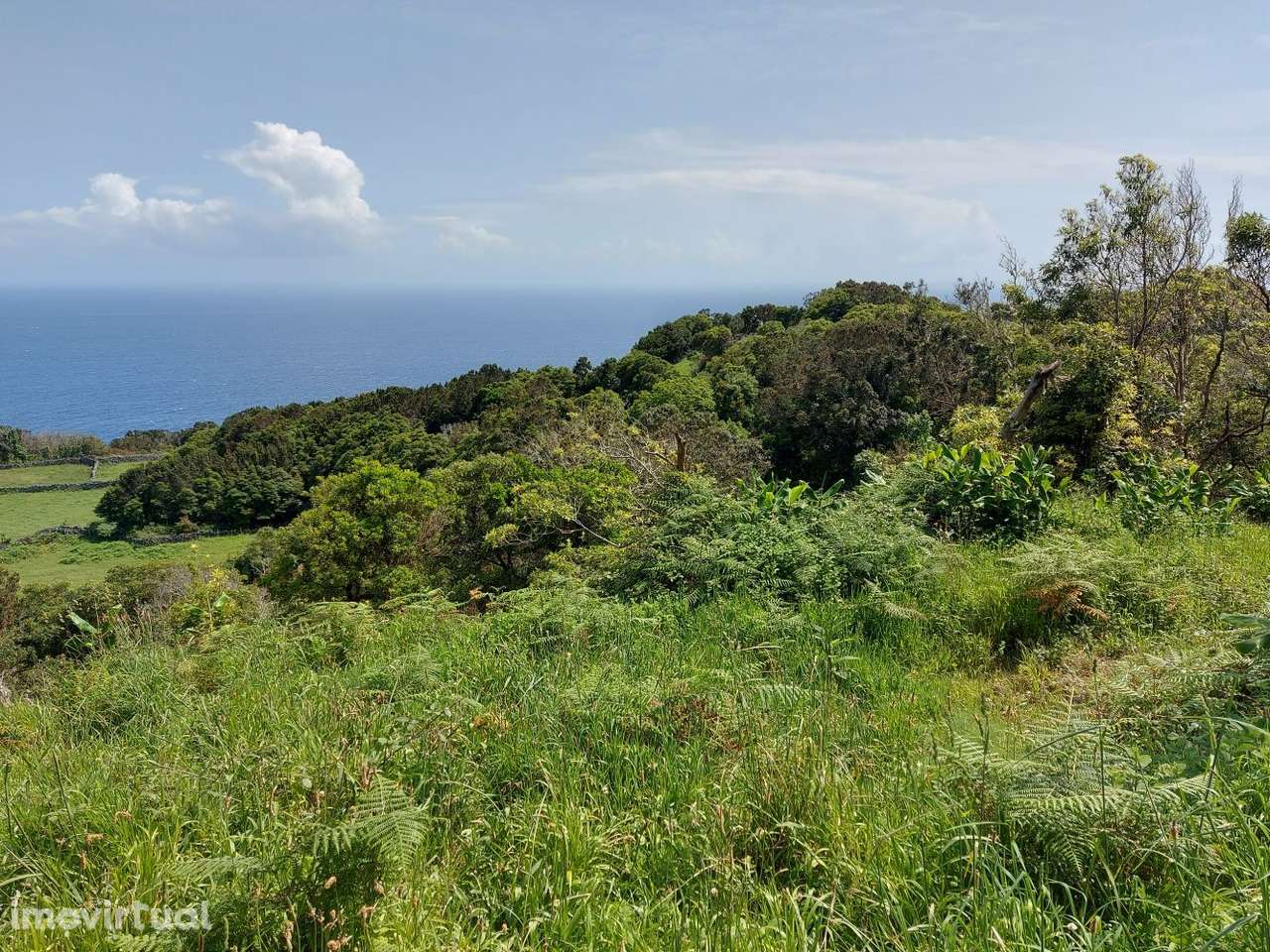 Fantástico Terreno com Projeto Aprovado - Pico - Azores - Grande imagem: 2/18