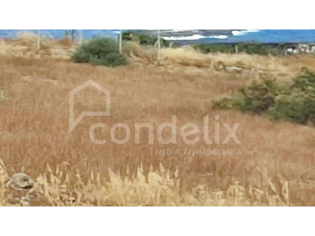 Terreno para venda em Porto Santo - Grande imagem: 4/35