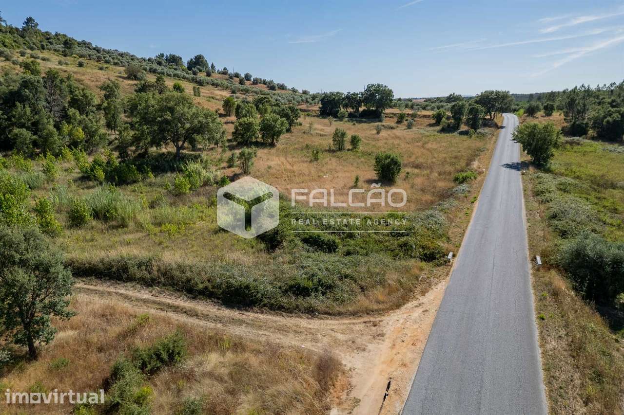 Terreno Rústico  Venda em Azoia de Cima e Tremês,Santarém - Grande imagem: 2/39