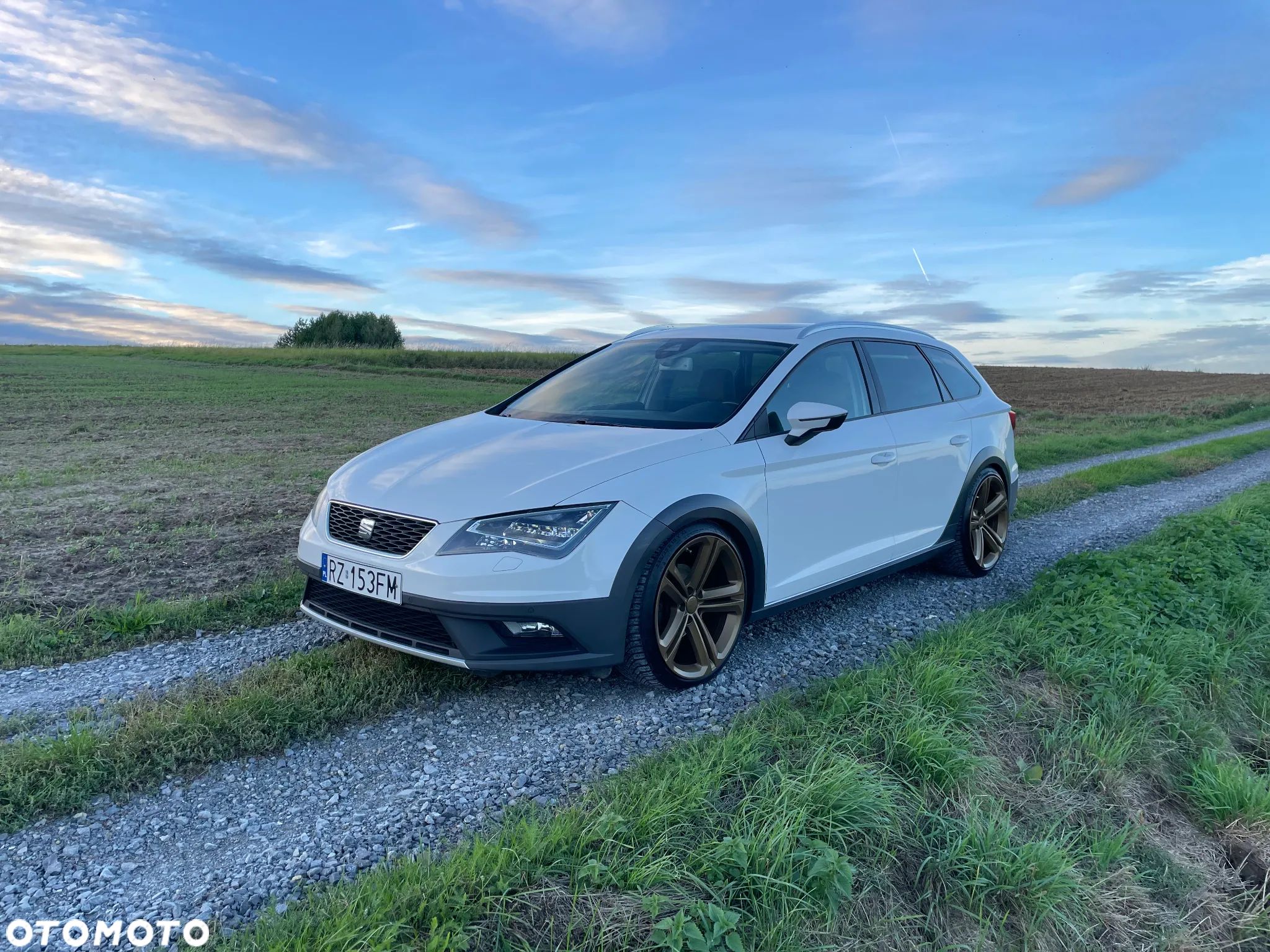 Seat Leon ST 2.0 TDI Start&Stop 4Drive X-Perience - 1