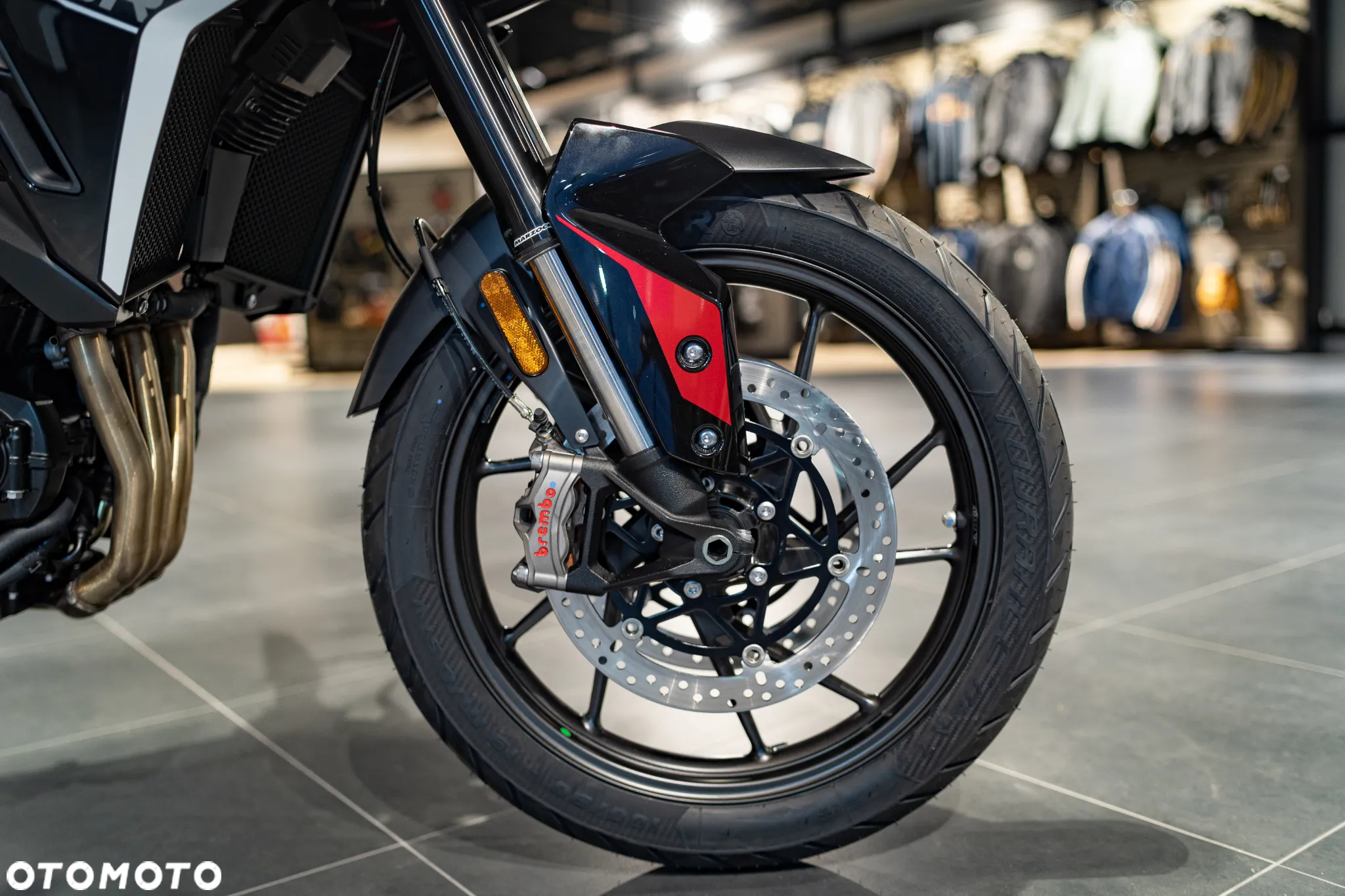 Triumph Tiger - 23