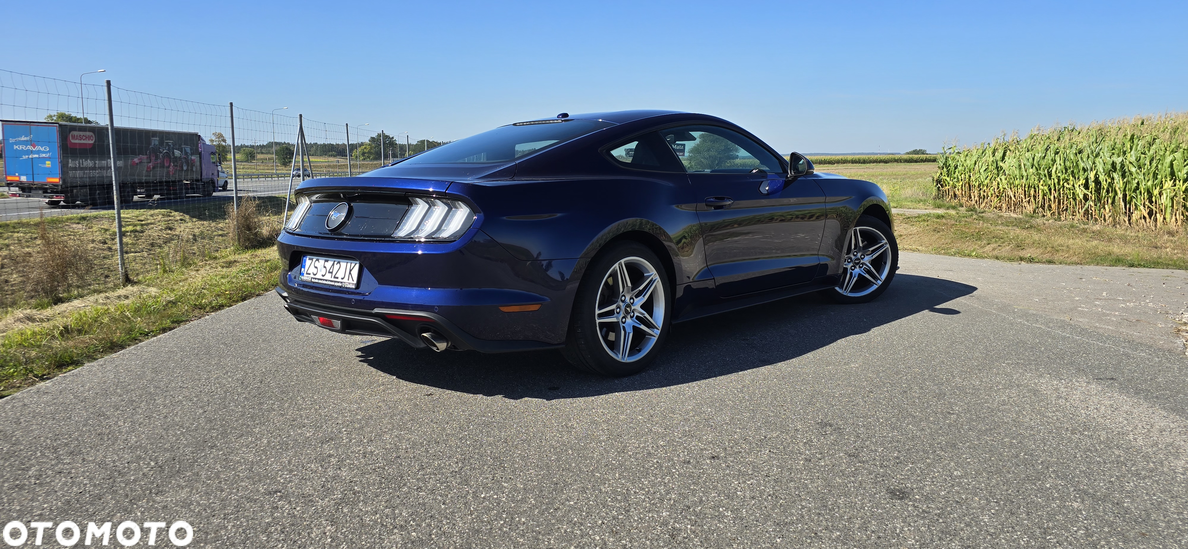 Ford Mustang 2.3 EcoBoost - 5
