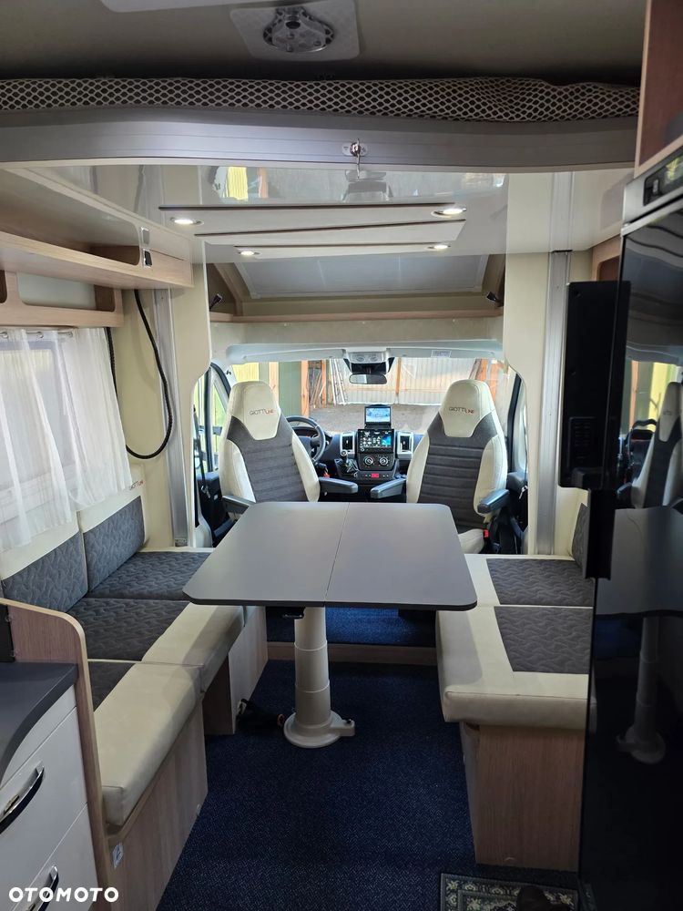 Giottiline Siena - 7