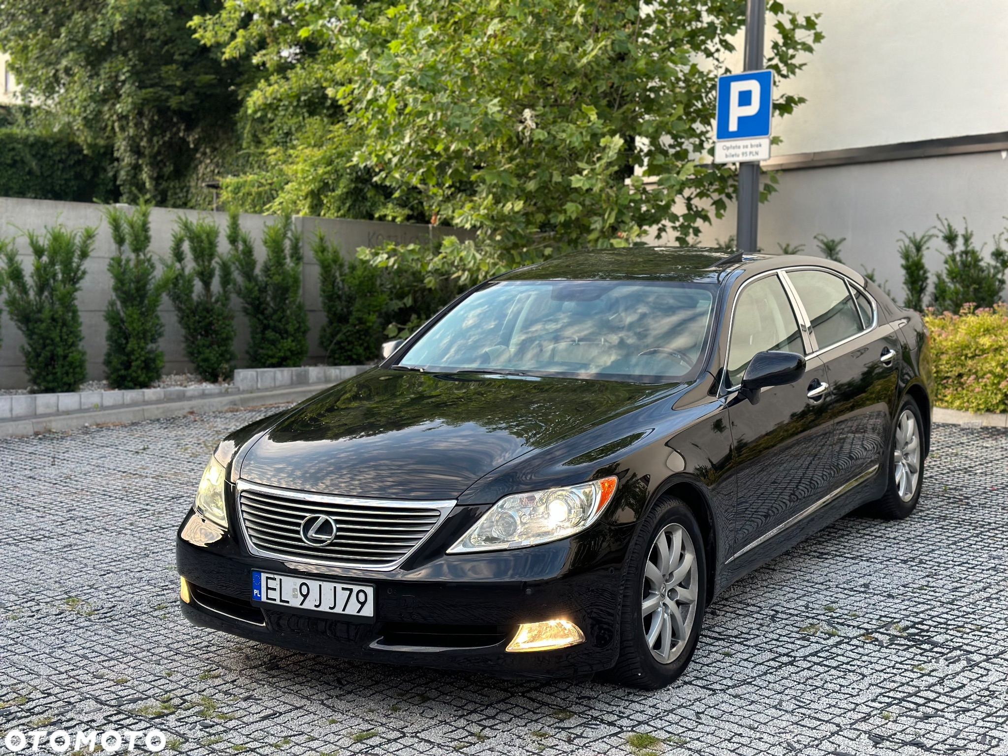 Lexus LS 460 Prestige - 2