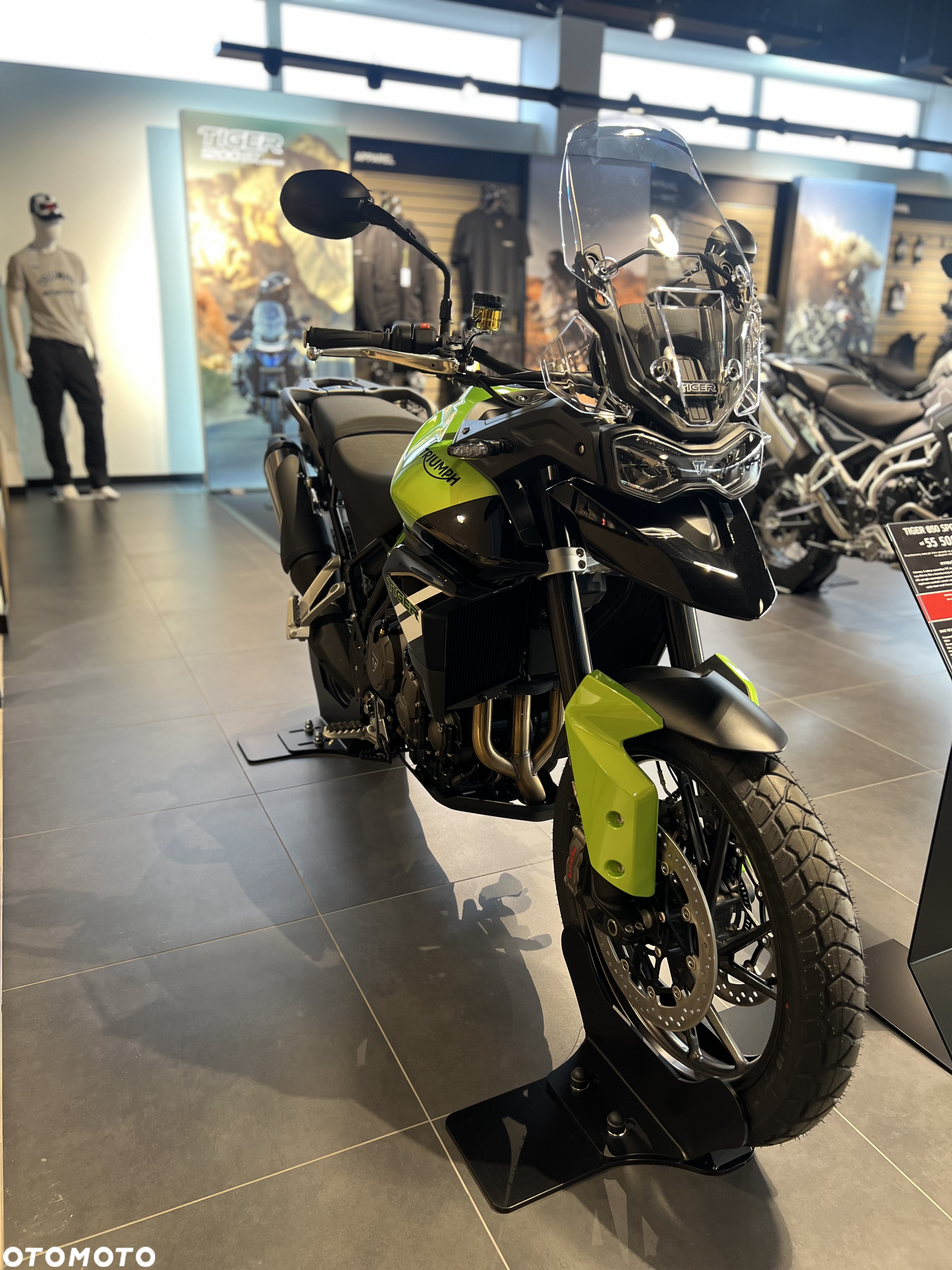 Triumph Tiger - 17