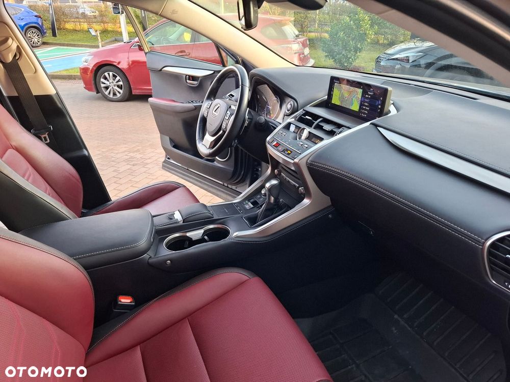 Lexus NX 300h Comfort AWD - 19