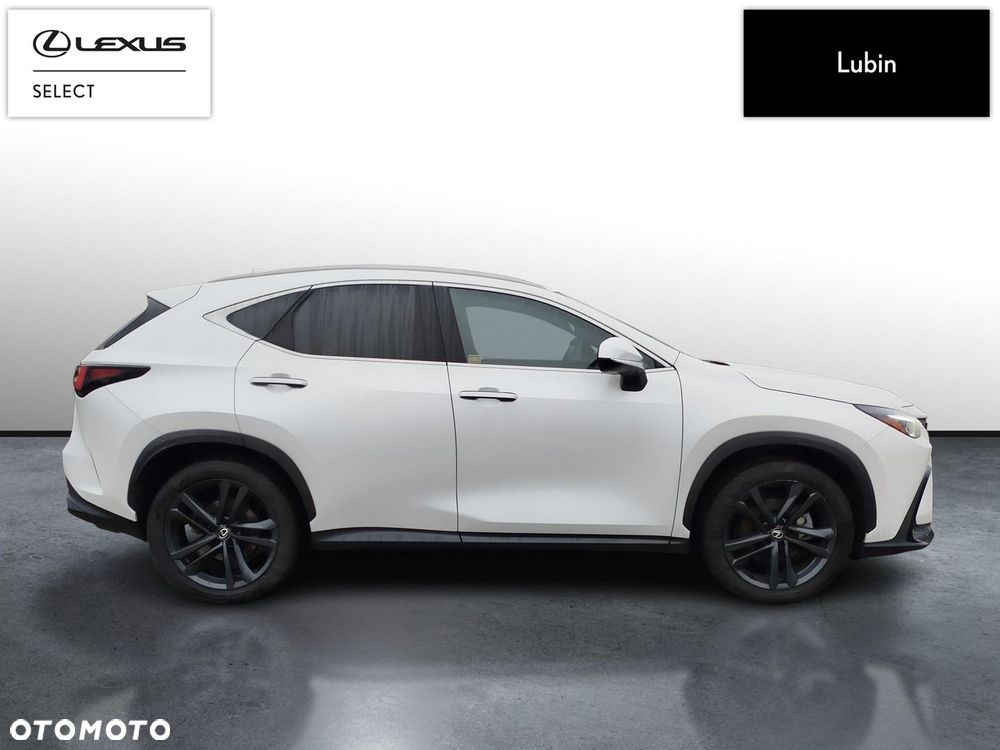Lexus NX - 6