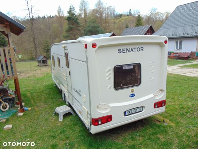 Bailey SENATOR - 8