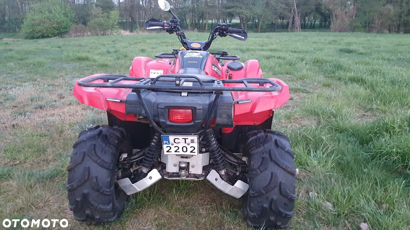 Yamaha Grizzly