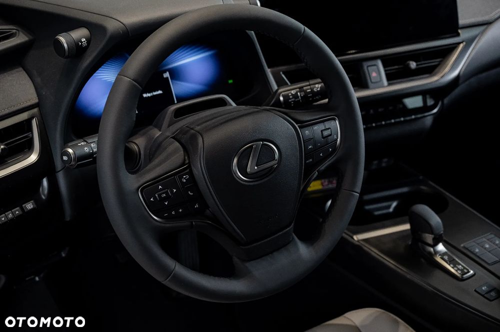 Lexus UX 300h F Sport Design - 17