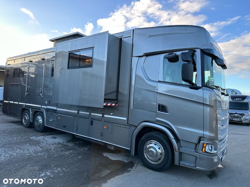 Scania S500 STX Koniowóz, 2xPOP OUT i POP UP. - 3