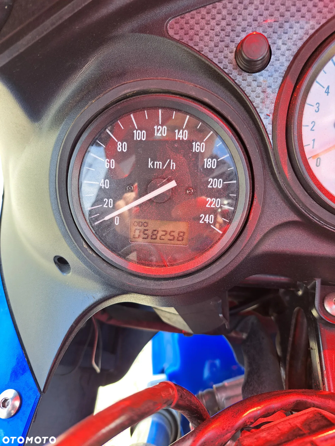 Suzuki SV - 8
