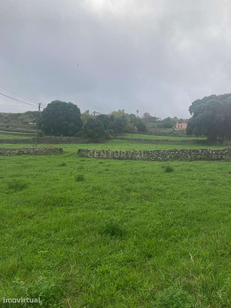 Fantástico terreno para investimento no concelho da Praia da Vitória - Grande imagem: 5/9