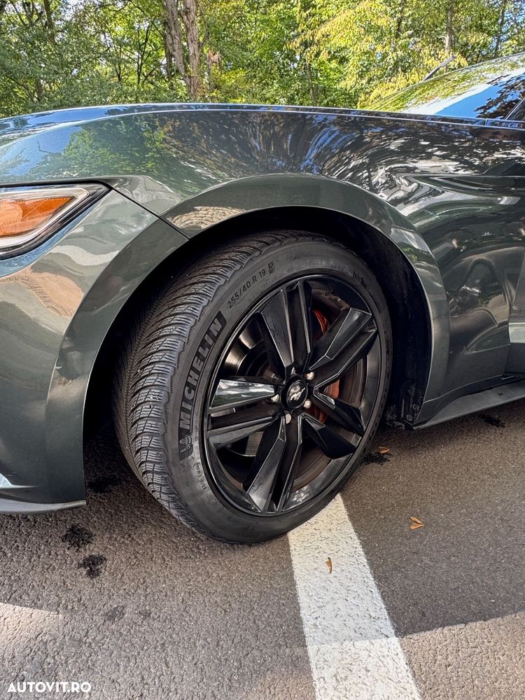 Ford Mustang 2.3 EcoBoost Aut. - 12