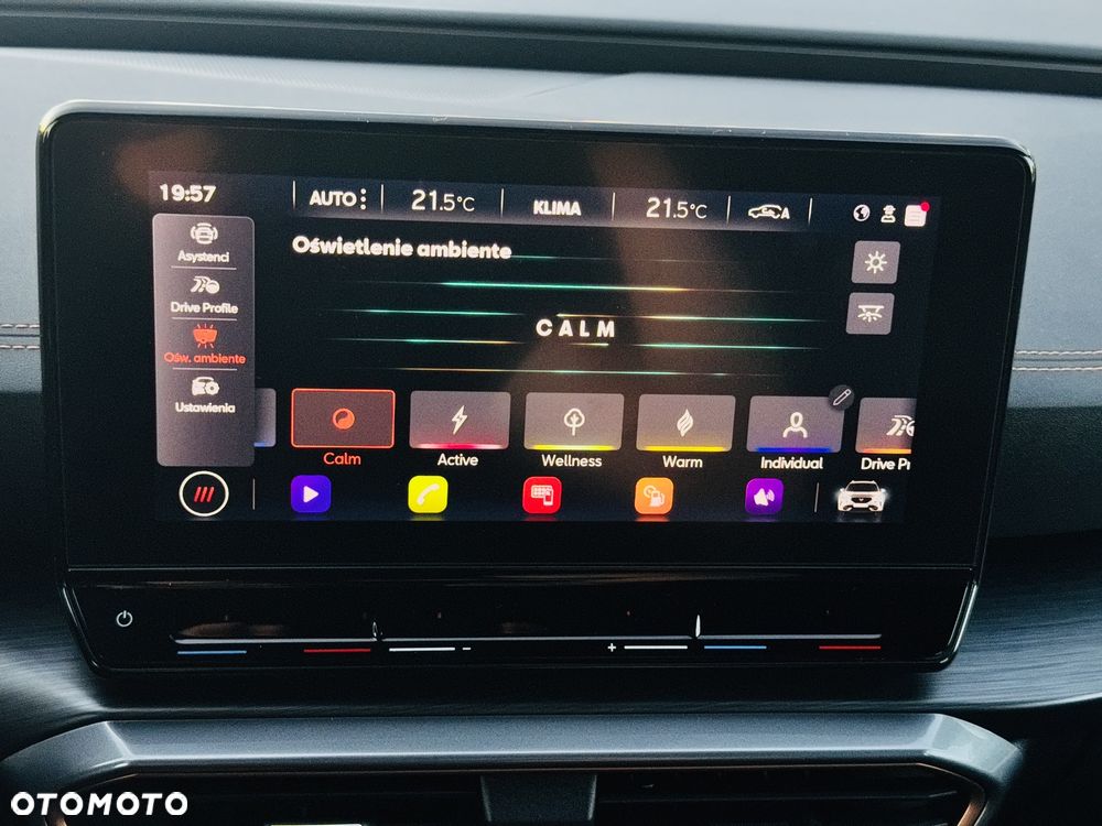 Cupra Formentor 1.5 TSI DSG Tribe Edition - 14