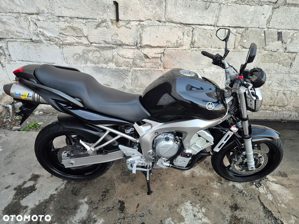 Yamaha FZ6 - 19