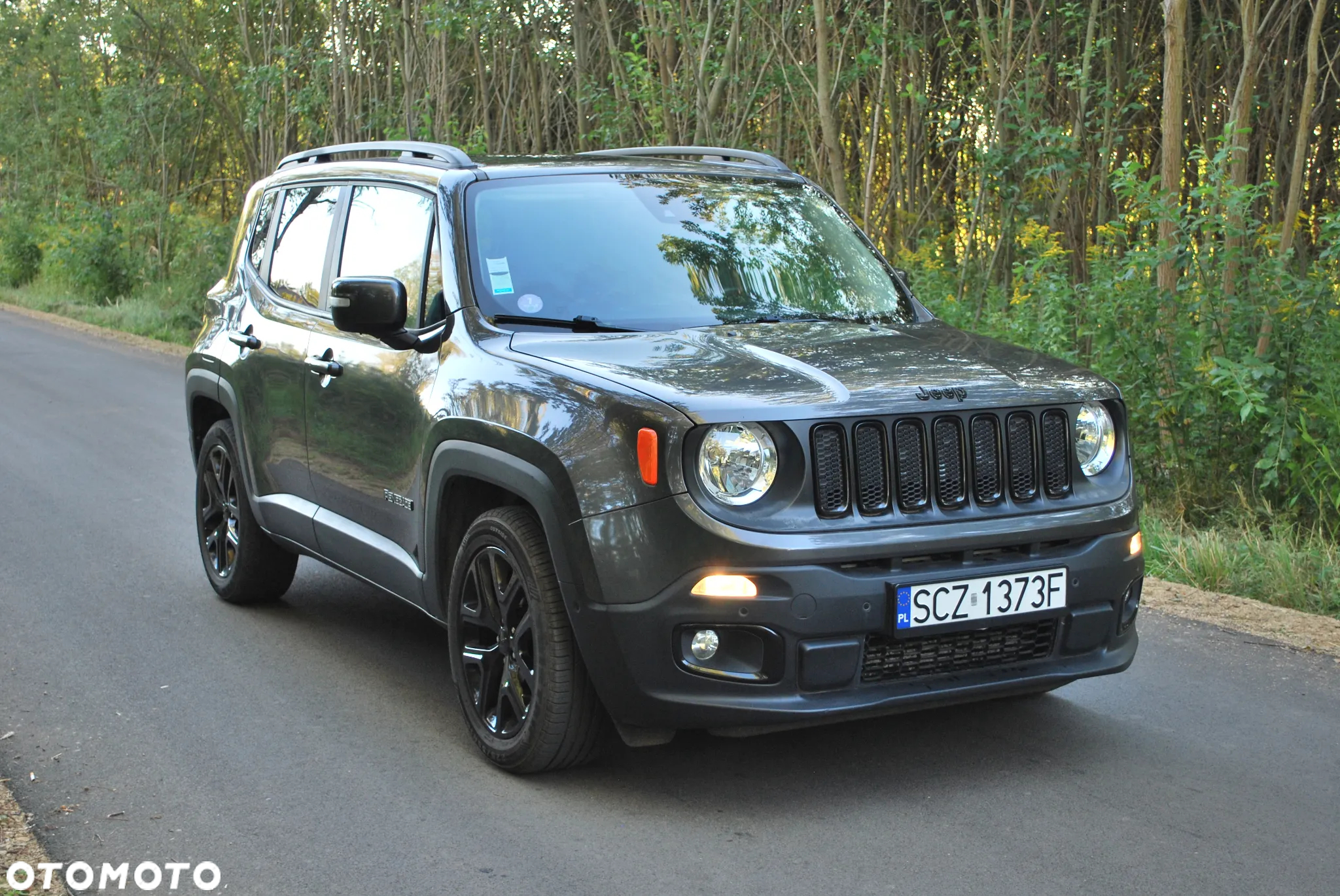 Jeep Renegade 1.4 MultiAir Limited FWD S&S - 5