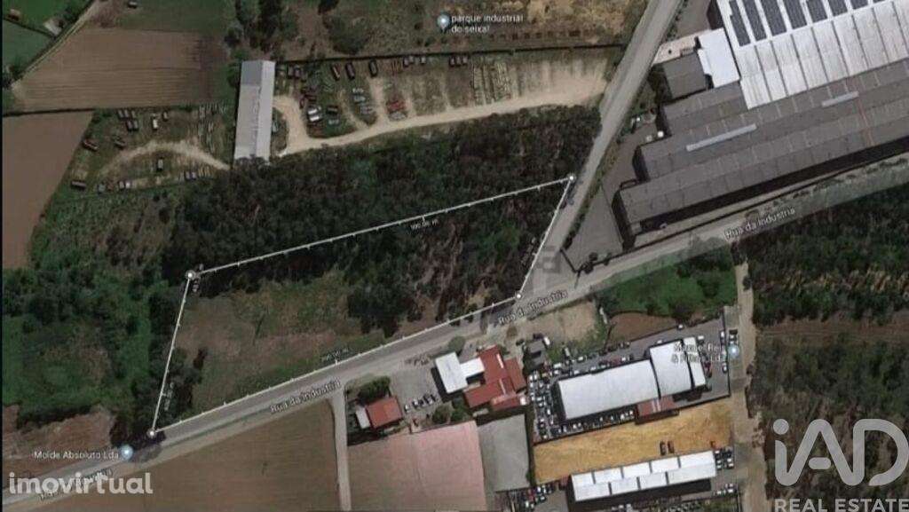 Terreno em Loureiro de 8130,00 m2 - Grande imagem: 4/4