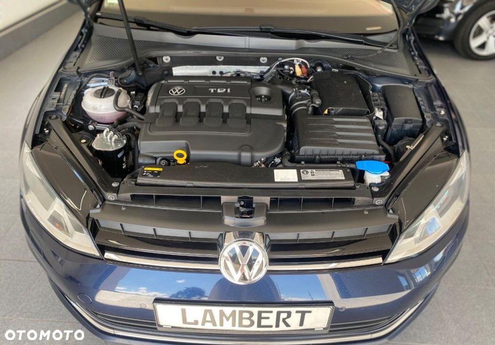 Volkswagen Golf - 16