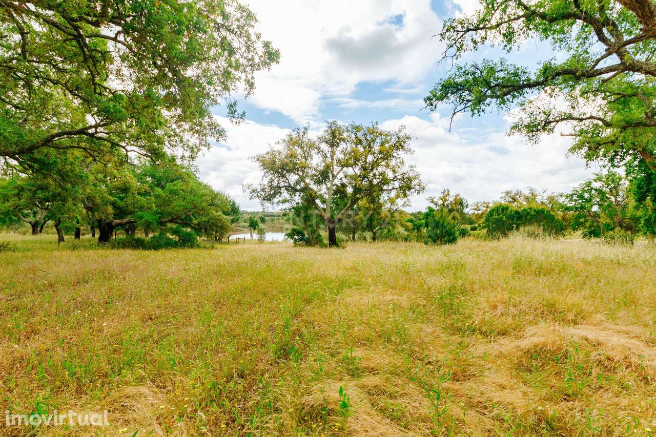 Lote Premium com 3.065 m2 junto à Lagoa | Vila Nova de Santo Estevão - Grande imagem: 4/17