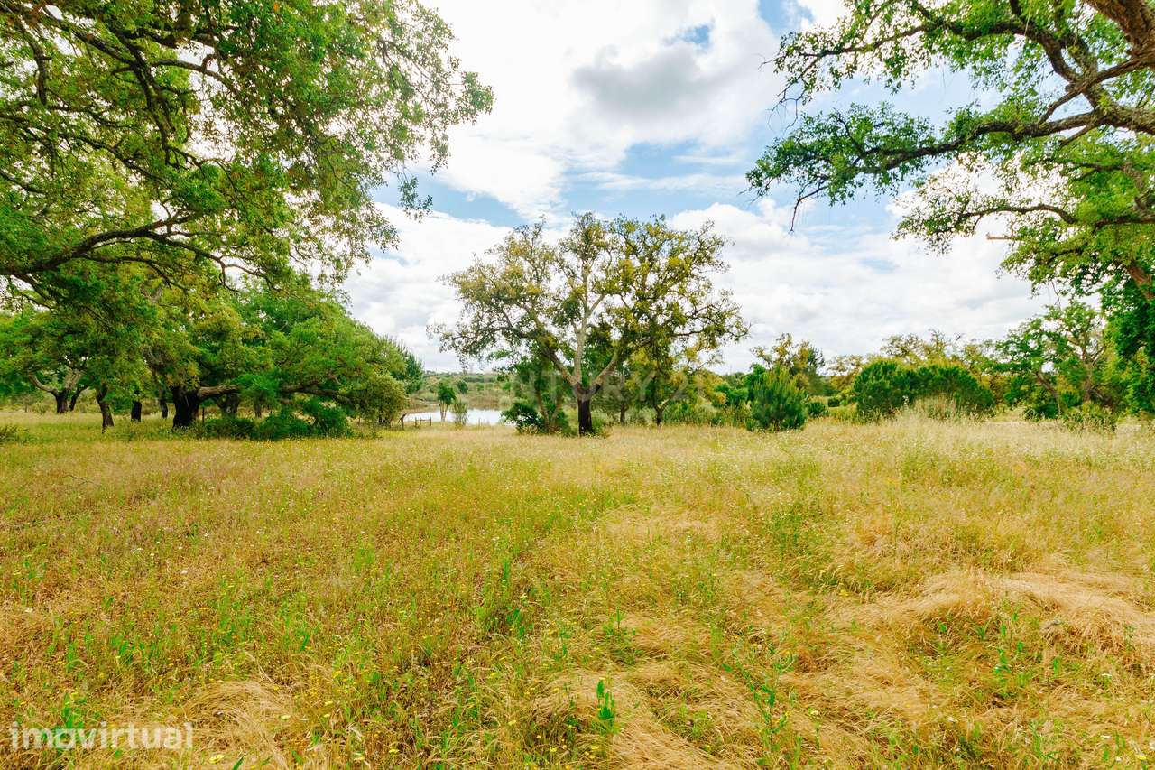 Lote Premium com 3.065 m2 junto à Lagoa | Vila Nova de Santo Estevão - Grande imagem: 4/17