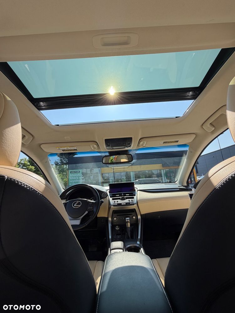 Lexus NX 300 Business Edition AWD - 22