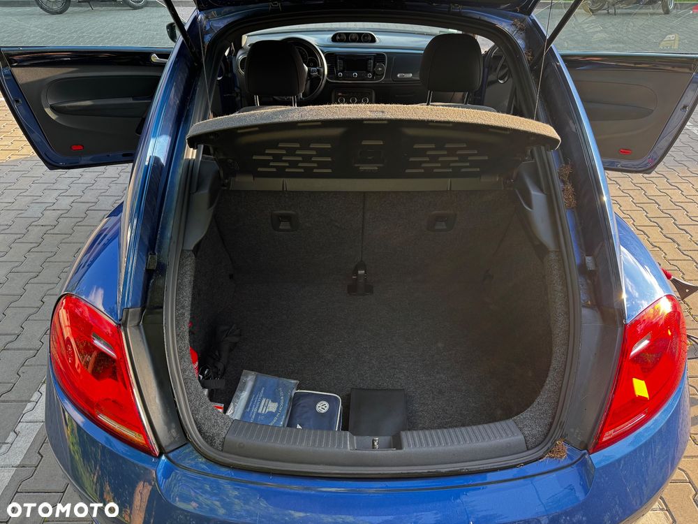 Volkswagen Beetle - 8