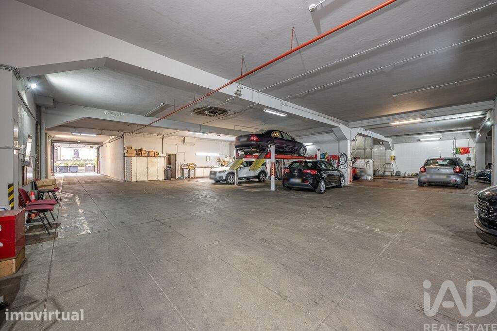 Loja / Estabelecimento Comercial em Cedofeita, Santo Ildefonso, Sé, Mi - Grande imagem: 3/15