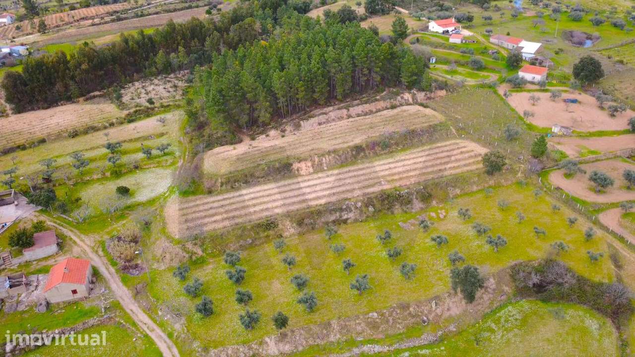 Quinta com moradia e terreno em Vale de Prazeres, Fundão - Grande imagem: 3/59