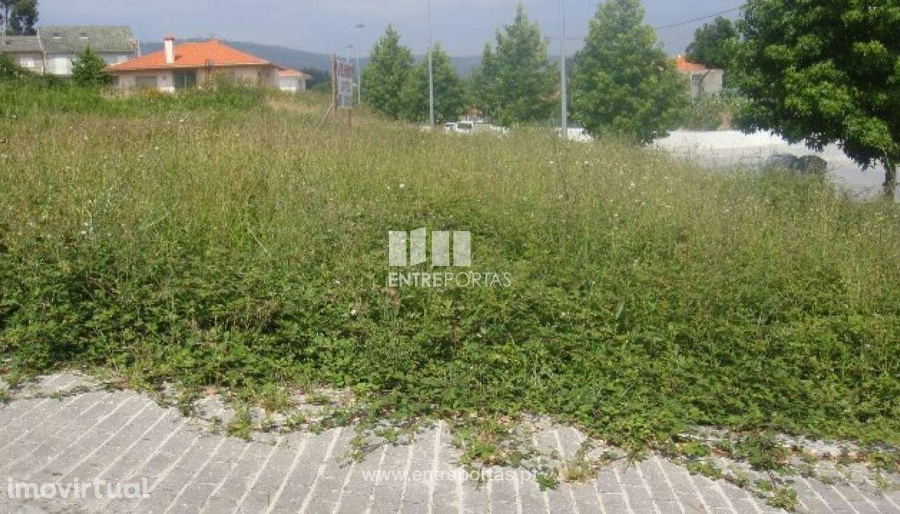 Lote - Fragoso - Grande imagem: 2/30