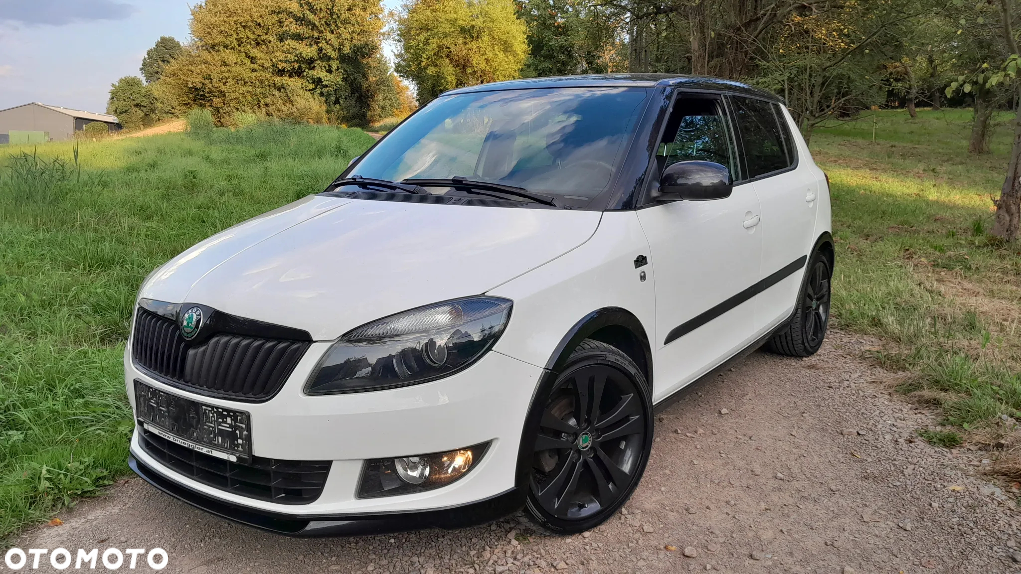 Skoda Fabia - 16