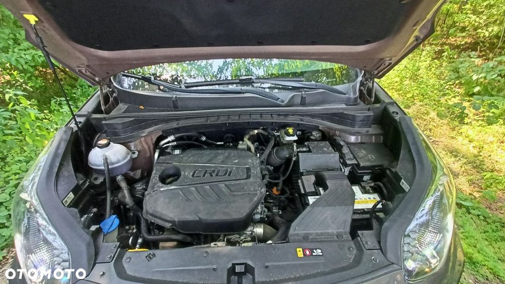 Kia Sportage - 38
