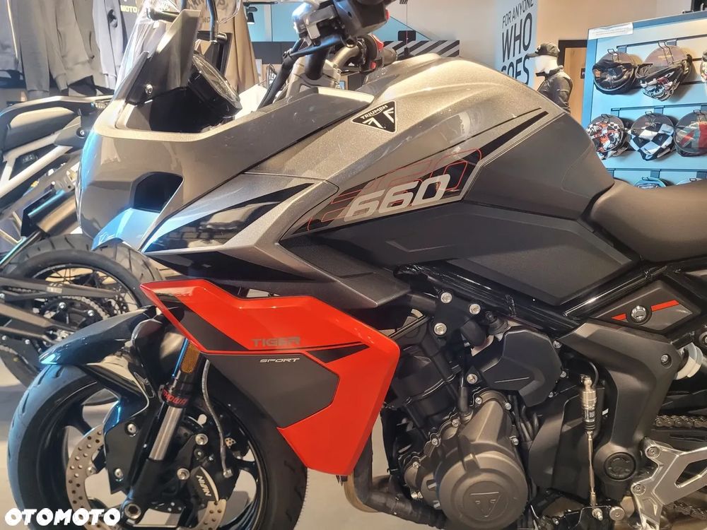 Triumph Tiger - 4
