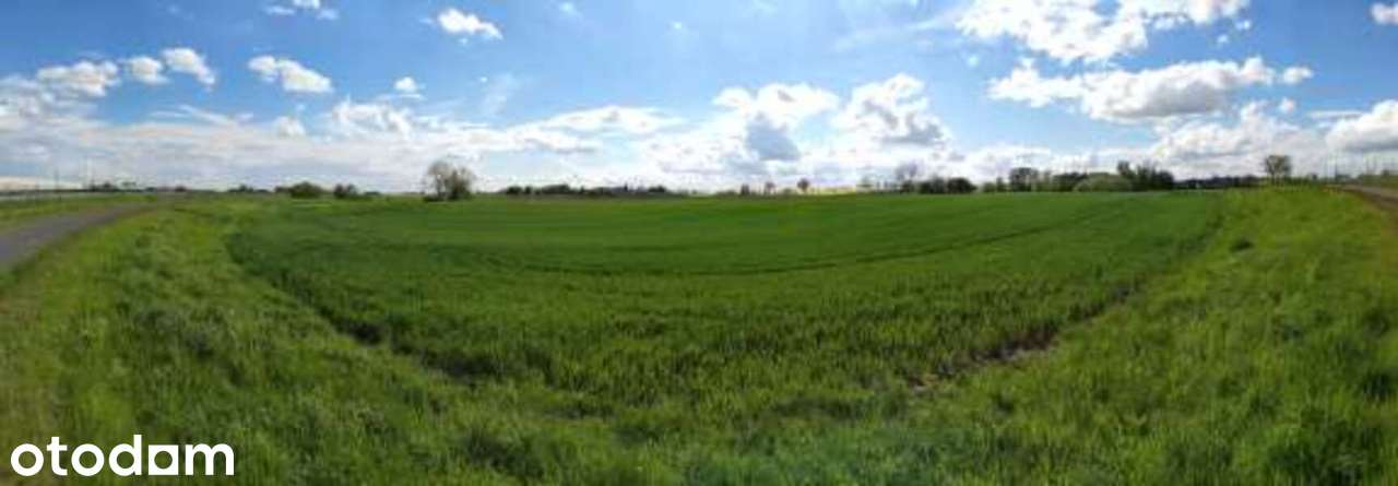 Działka inwestycyjna 7,5 ha z MPZP -Lisewo - Pełny obrazek: 3/13