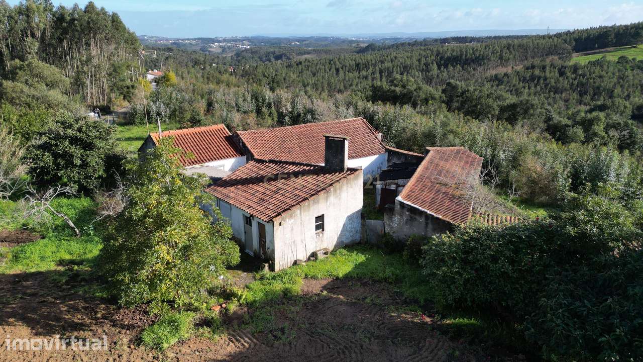 Moradia com terreno | Lagoa Parceira | Caldas da Rainha - Grande imagem: 2/15