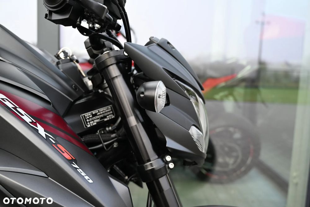 Suzuki GSX - 19